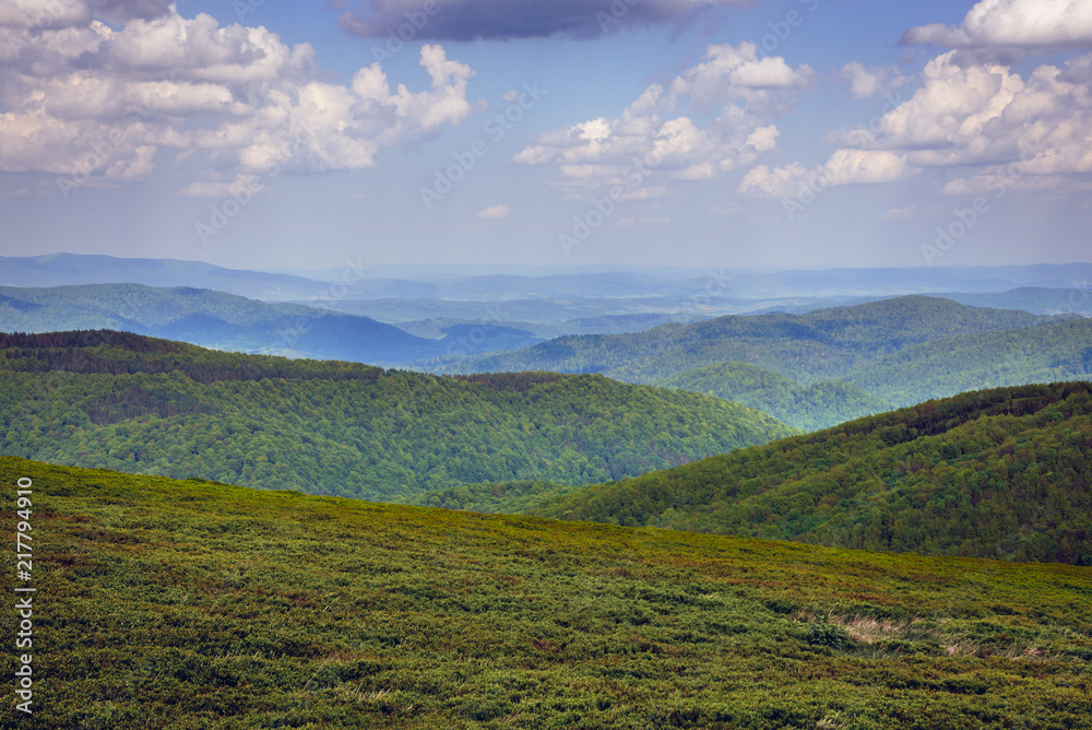 Obraz premium Landscape of Bieszczady National Park, Subcarpathian Voivodeship of Poland, view from Wetlina trail