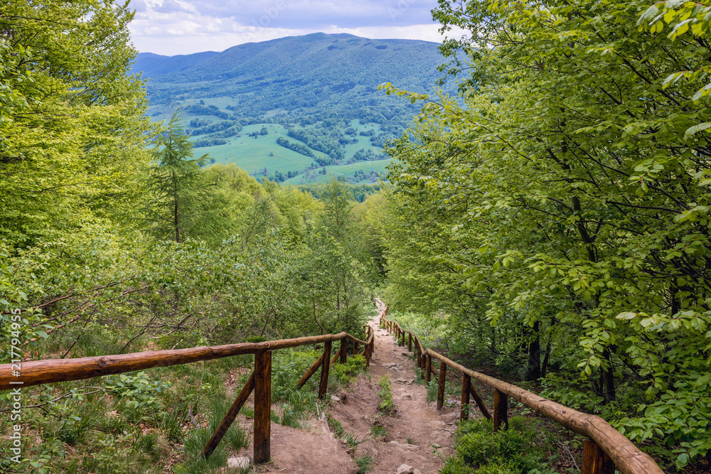 Fototapeta premium Trail in Bieszczady National Park, Subcarpathian Voivodeship of Poland on the Wetlina mountain pasture