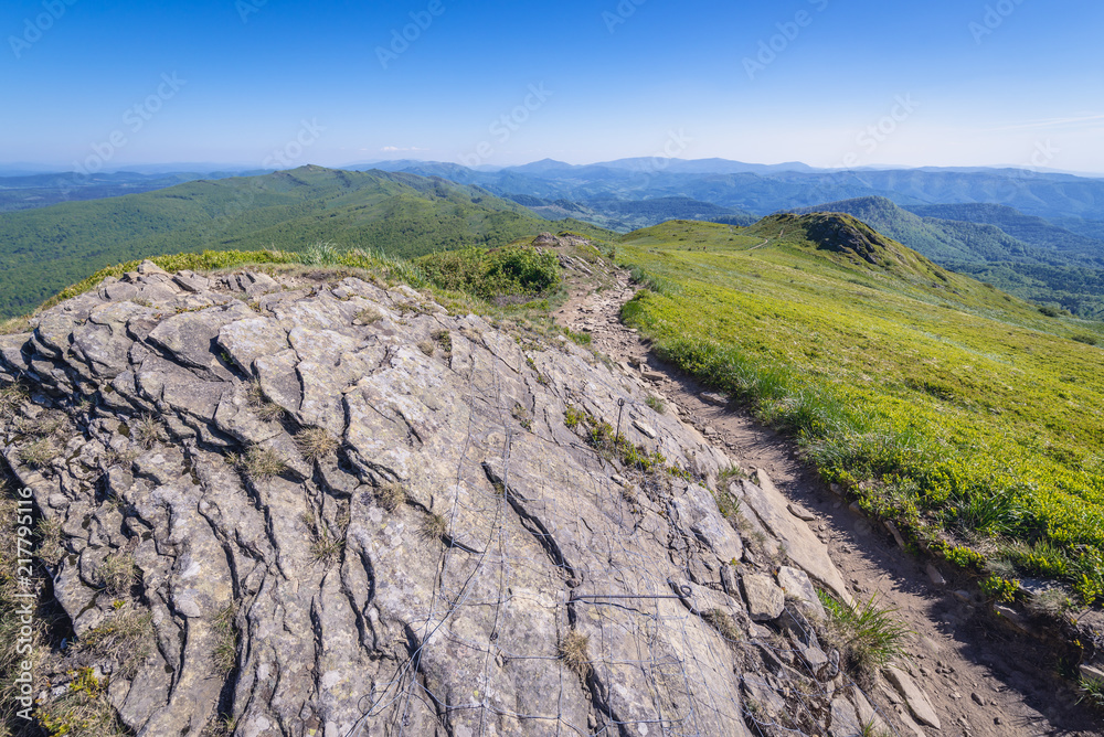 Fototapeta premium Hiking trail on the mount Rozsypaniec in Bieszczady National Park, Subcarpathian Voivodeship of Poland