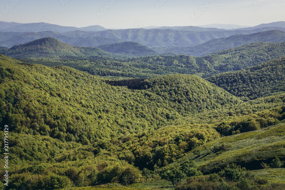 Bieszczady National Park, Subcarpathian Voivodeship of Poland, view from hiking trail to Tarnica mount
