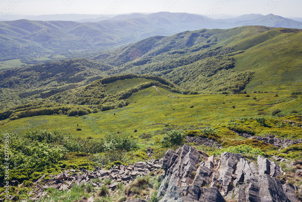 Fototapeta premium Bieszczady National Park, Subcarpathian Voivodeship of Poland seen from peak on Tarnica mount