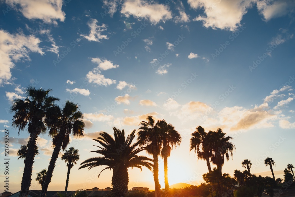 Obraz premium palm tree silhouettes against blue sky and sunset background