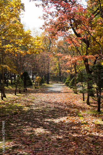 秋の公園