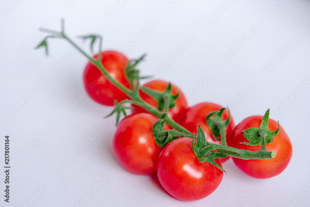 custom made wallpaper toronto digitalプチトマト