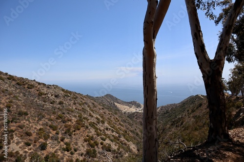 catalina island and the Pacific Ocean  © K KStock