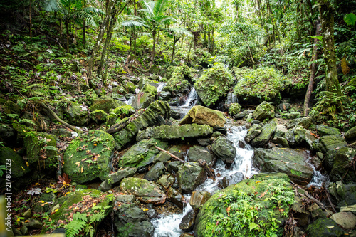 El Yunque National Forest - Puerto Rico