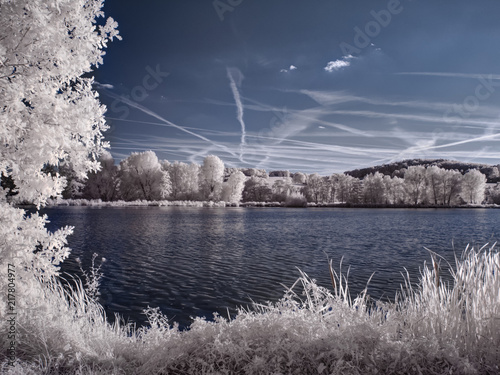 infrared photography - ir photo of landscape with tree under sky with clouds - the art of our world and plants in the infrared camera spectrum