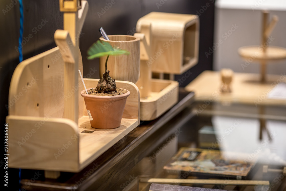 Background, home decor and garden (vases, flower pots, glasses) to show the show, making it a beautiful garden. Background, home decor and garden (vases, flower pots, glasses) to show the show, making it a beautiful garden.