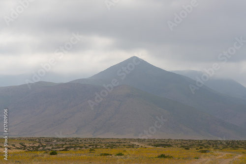 Mountainous landscape of Atacama desert in time of flowering, Northern Chile