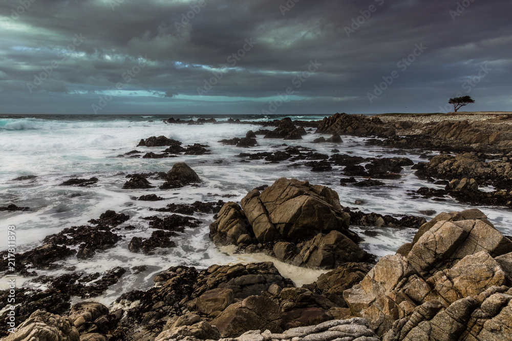 Stormy rocky coast line with a lone tree in the background