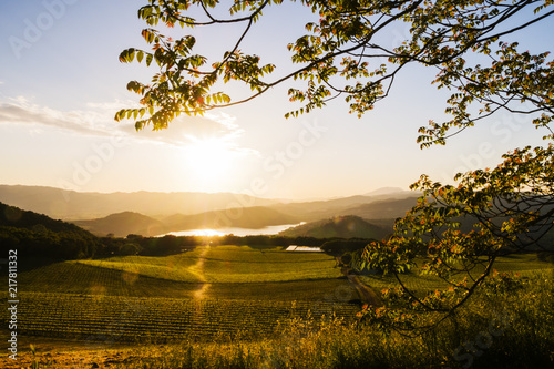 Beautiful Napa Valley Sunset