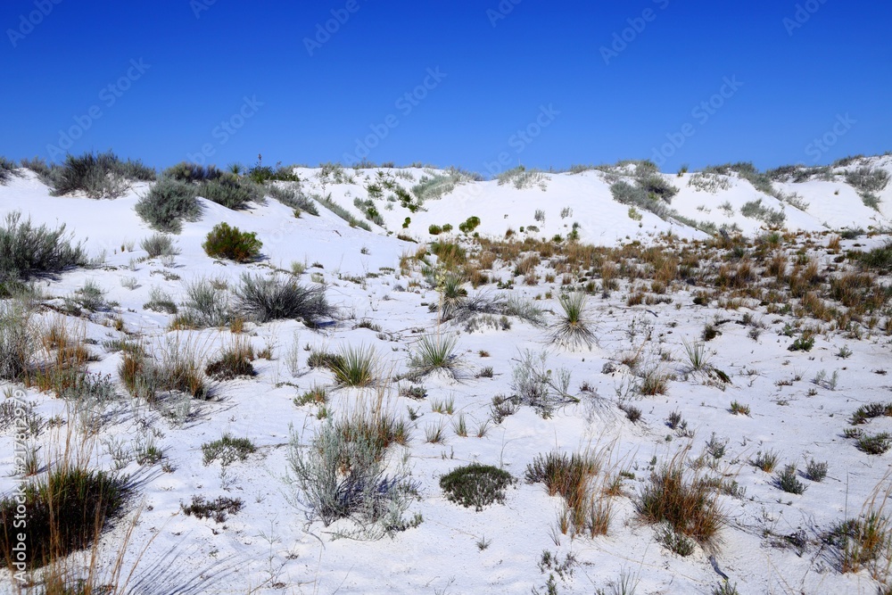 White Sands National Monument in New Mexico, USA
White Sands National Monument in New Mexico, USA