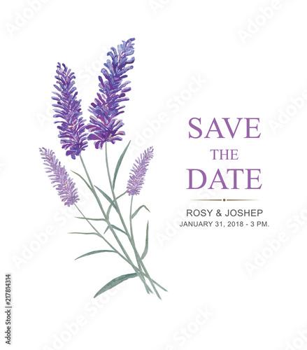 Lavender flowers watercolor elements. Collection of floral and leaves on a white background. Drawing watercolor design for save the date, invitation, wedding or greeting cards.