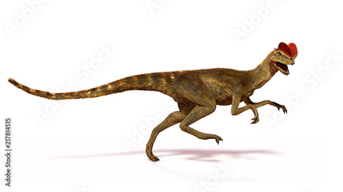 running Dilophosaurus  theropod dinosaur from the Early Jurassic period  3d illustration isolated with shadow on white background 