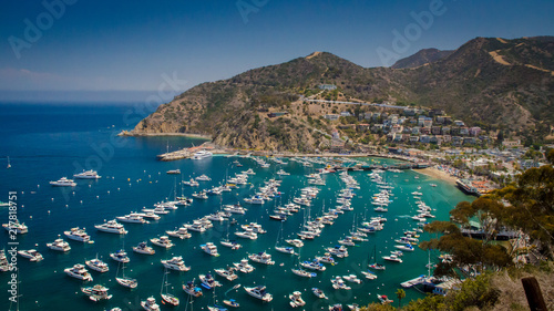 Santa Catalina Island photo