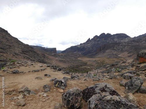 Mt Kenya National Park 