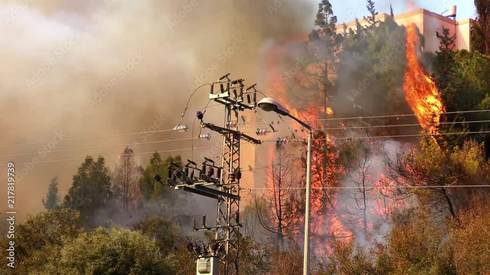 Trees catch fire near houses and residential urban buildings.