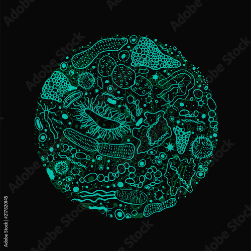 Bacteria hand-drawn image