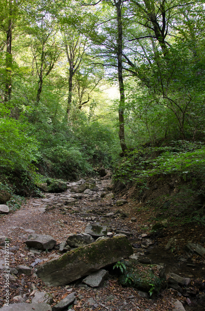 Mamed gorge on the Black Sea coast of Russia Mamed gorge on the Black Sea coast of Russia