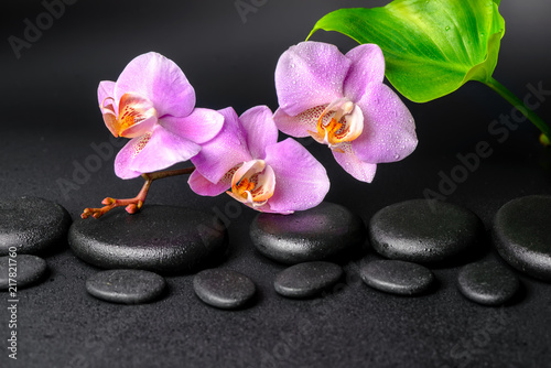spa setting of zen stones with drops, lilac orchid