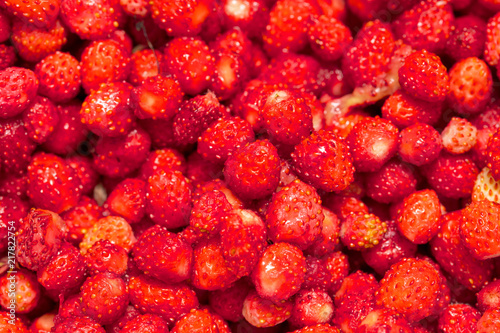 Red ripe strawberry from the forest as a background