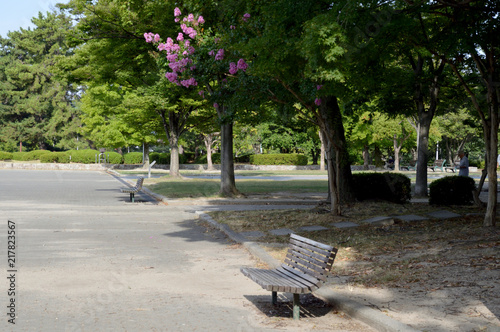公園のベンチとサルスベリ © FUJIOKA Yasunari