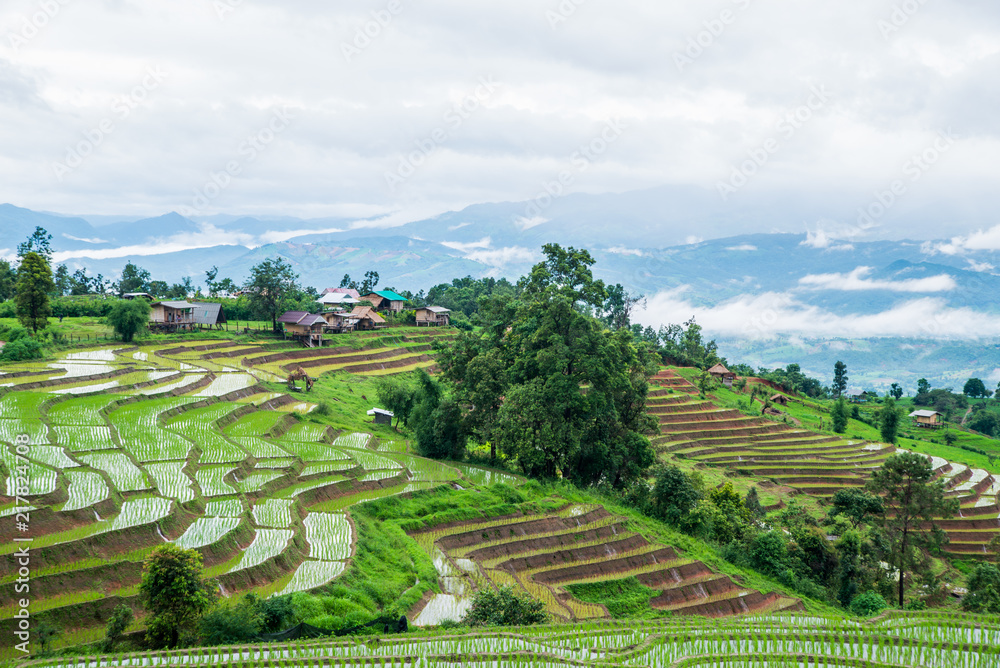 View Terraced Paddy Field in Mae-Jam Village, Chaingmai, Thailand View Terraced Paddy Field in Mae-Jam Village, Chaingmai, Thailand