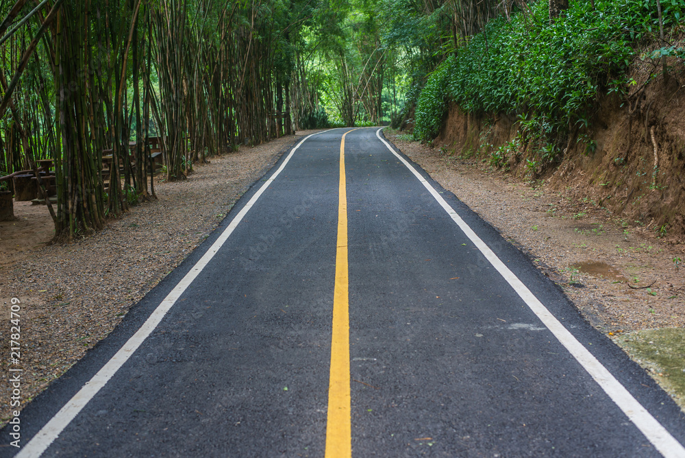 Asphalt road pavement at national park Chiang mai in Thailand