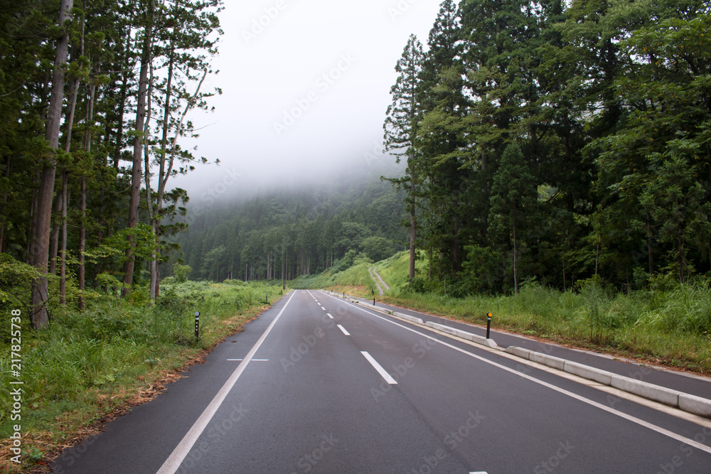 Fototapeta premium Up to Some Place