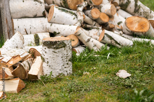 Cutting birch firewood on the lawn photo