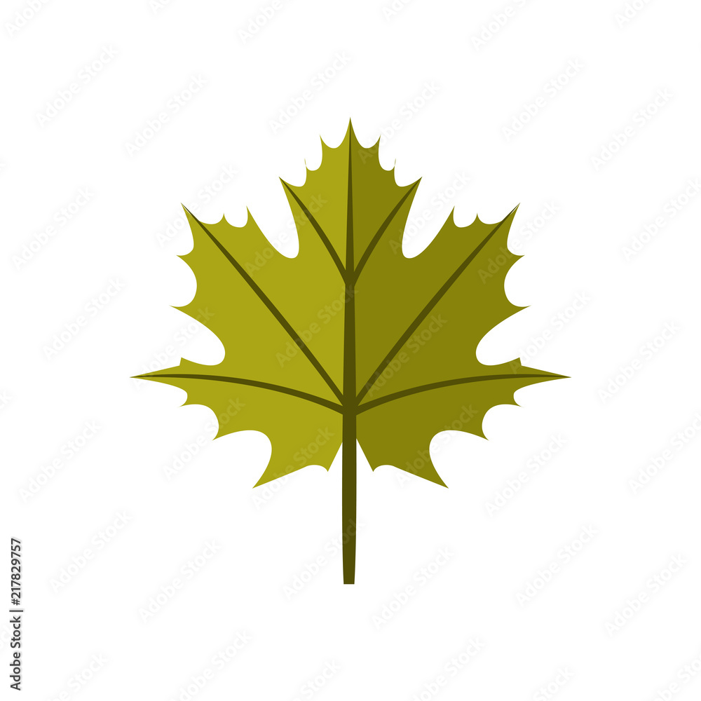 Simple Maple Green Autumn Leaf Illustration Symbol Graphic Design Simple Maple Green Autumn Leaf Illustration Symbol Graphic Design