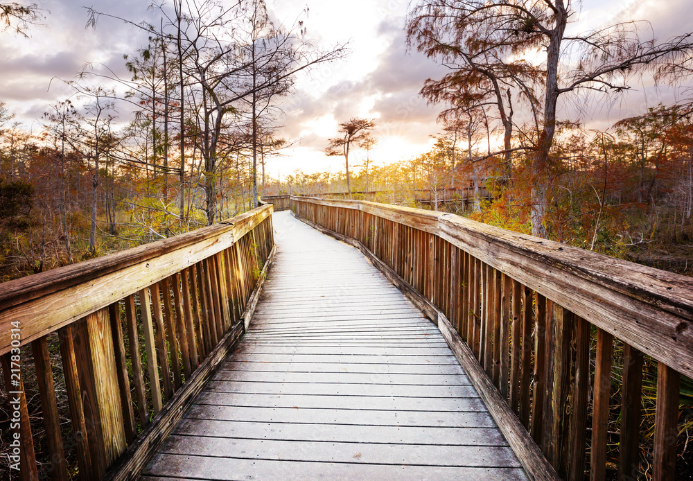 Boardwalk in Everglades Boardwalk in Everglades