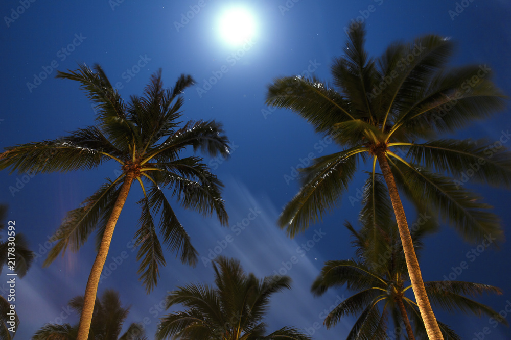 Tropical landscape in the night. Long exposure Tropical landscape in the night. Long exposure