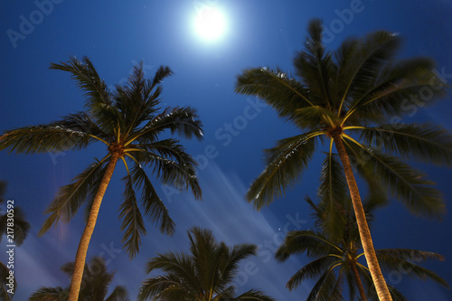 Tropical landscape in the night. Long exposure