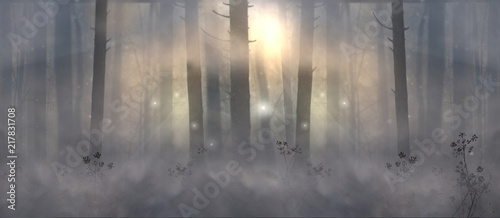 fabulous morning forest. Fog in the magical forest. a magical landscape.