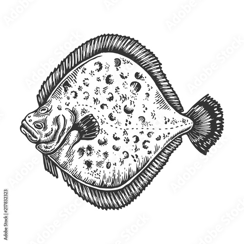 European plaice fish animal engraving vector