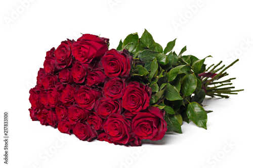 Red roses on a white background.