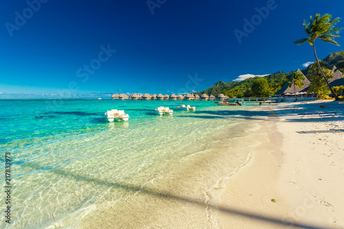 Tropical resort with sandy beach and palm trees on Moorea  Polynesia