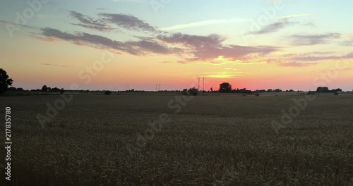 Wallpaper Mural Pan right over field in the sunset Torontodigital.ca