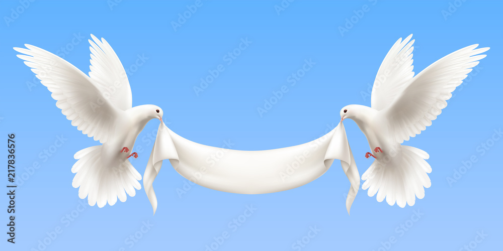 White Pigeons Realistic Banner