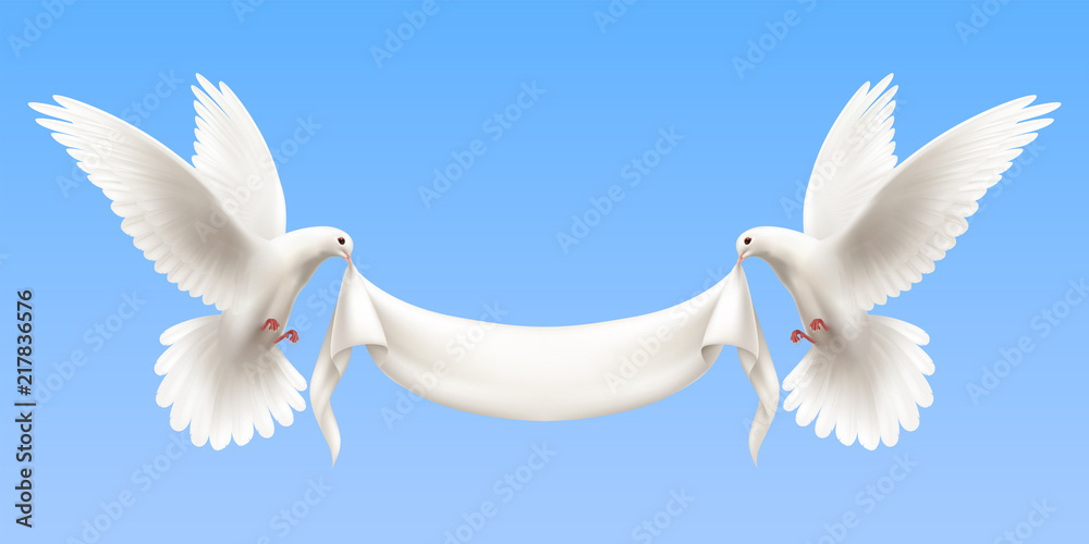 White Pigeons Realistic Banner