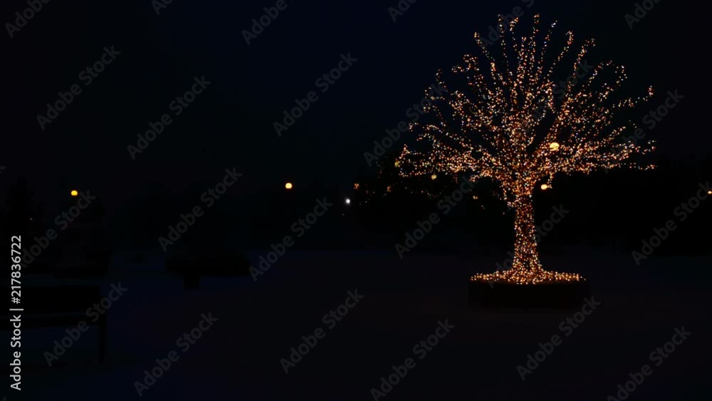 Gold lights Christmas Tree