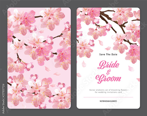 Sakura flowers background template. Vector set of blooming floral for holiday invitations, greeting card and fashion design.