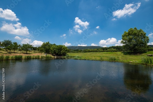 Sports Park at Noon in Summer