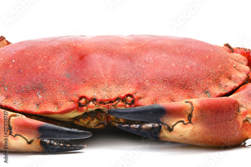 Crab