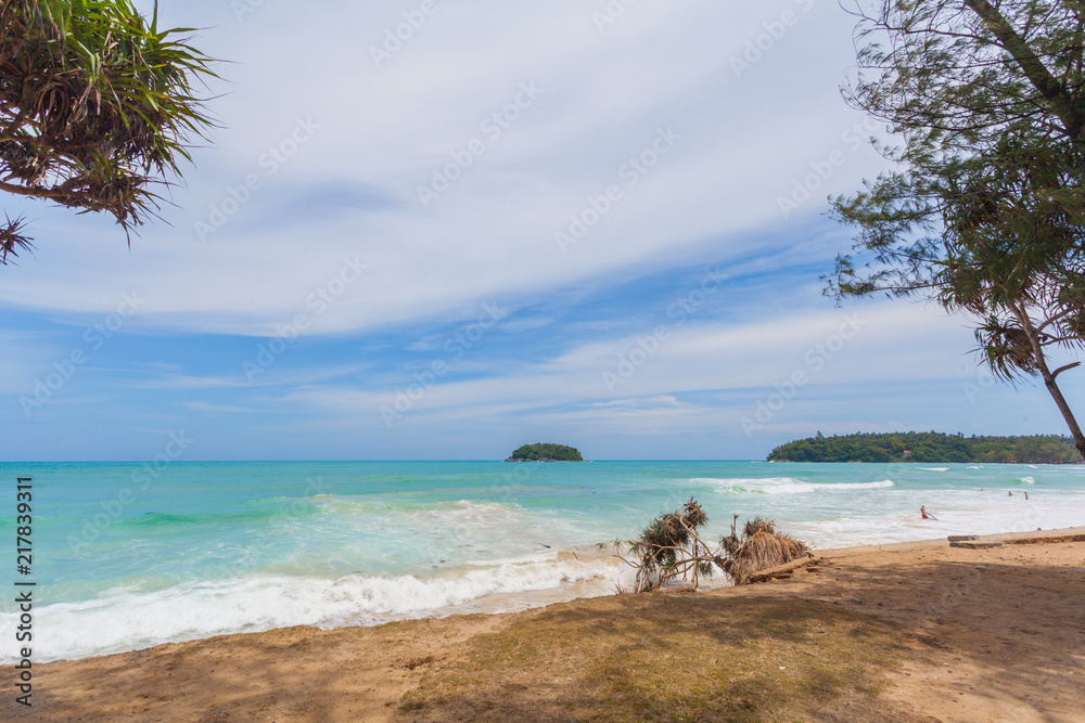 big waves hit the Pandanus trees on Kata beach Phuket were shattered during the monsoon season. big waves hit the Pandanus trees on Kata beach Phuket were shattered during the monsoon season.