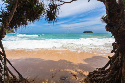 big waves hit the Pandanus trees on Kata beach Phuket were shattered during the monsoon season.