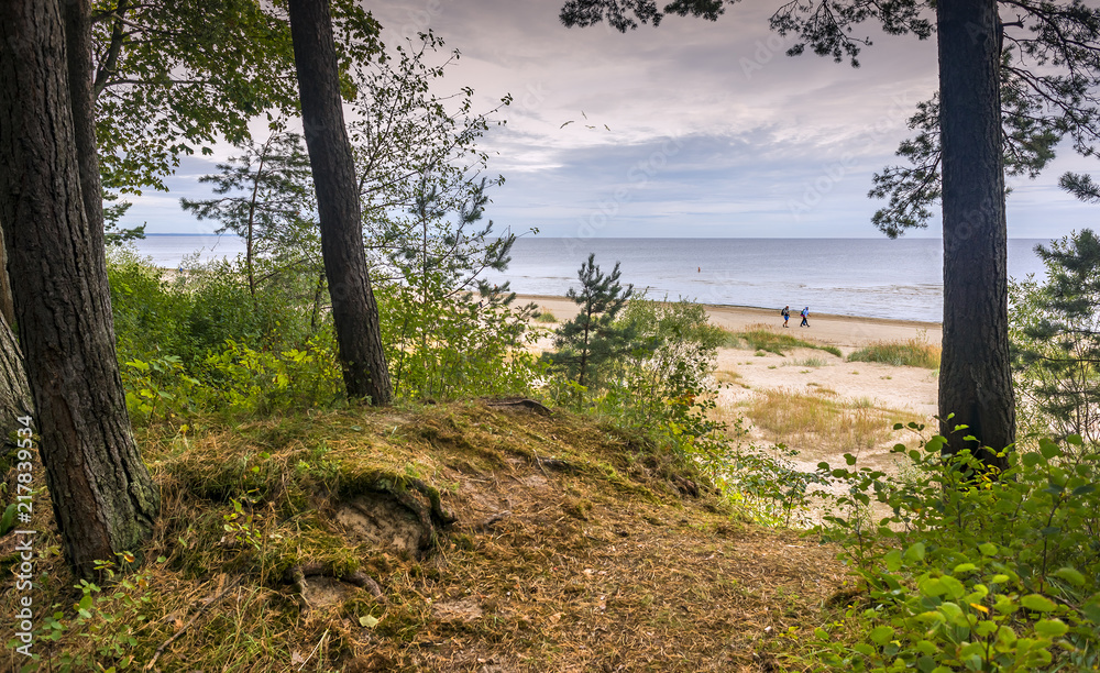 Fototapeta premium Coastal landscape, Baltic Sea, Jurmala, Latvia, Europe