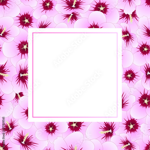 Hibiscus syriacus - Rose of Sharon Banner Card