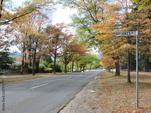 Road in autumn